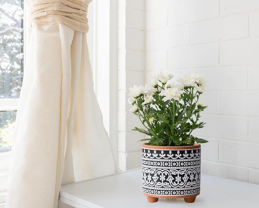 D'Vine Dev Set of 2 Terracotta Planter Pots, 4 Inch & 6 Inch, Design Plants Pot with Drainage Hole, Midnight Lace, Terracotta/Black, 31-953-F-2