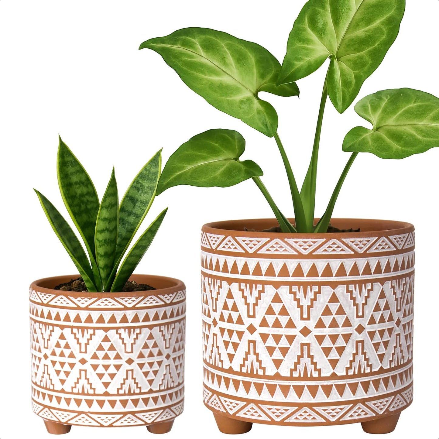 D'Vine Dev Set of 2 Terracotta Planter Pots, 4 Inch & 6 Inch, Design Plants Pot with Drainage Hole, Midnight Lace, Terracotta/Black, 31-953-F-2