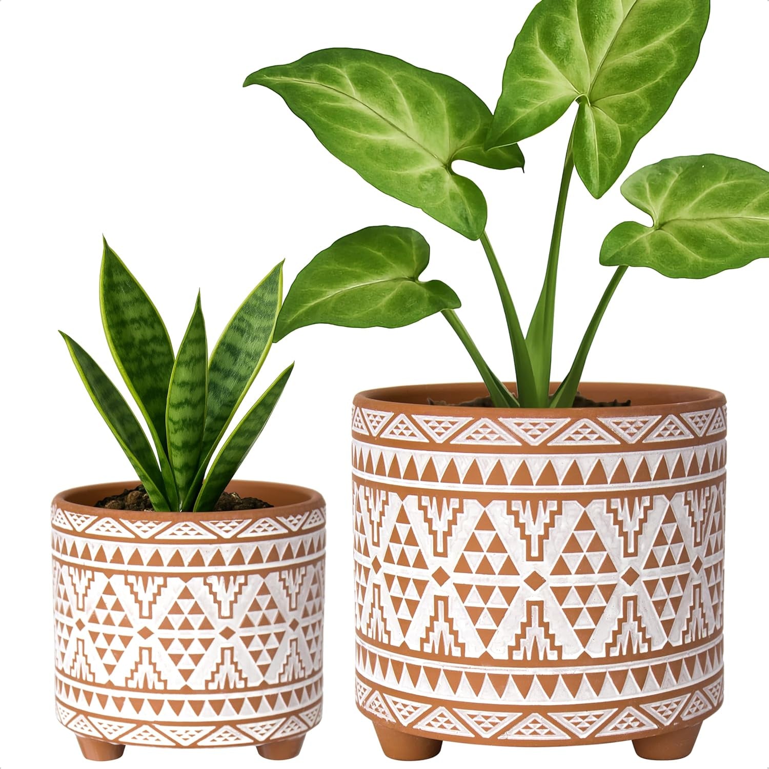 D'Vine Dev Set of 2 Terracotta Planter Pots, 4 Inch & 6 Inch, Design Plants Pot with Drainage Hole, Midnight Lace, Terracotta/Black, 31-953-F-2