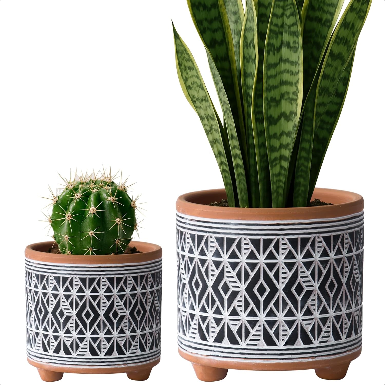 D'Vine Dev Set of 2 Terracotta Planter Pots, 4 Inch & 6 Inch, Design Plants Pot with Drainage Hole, Midnight Lace, Terracotta/Black, 31-953-F-2