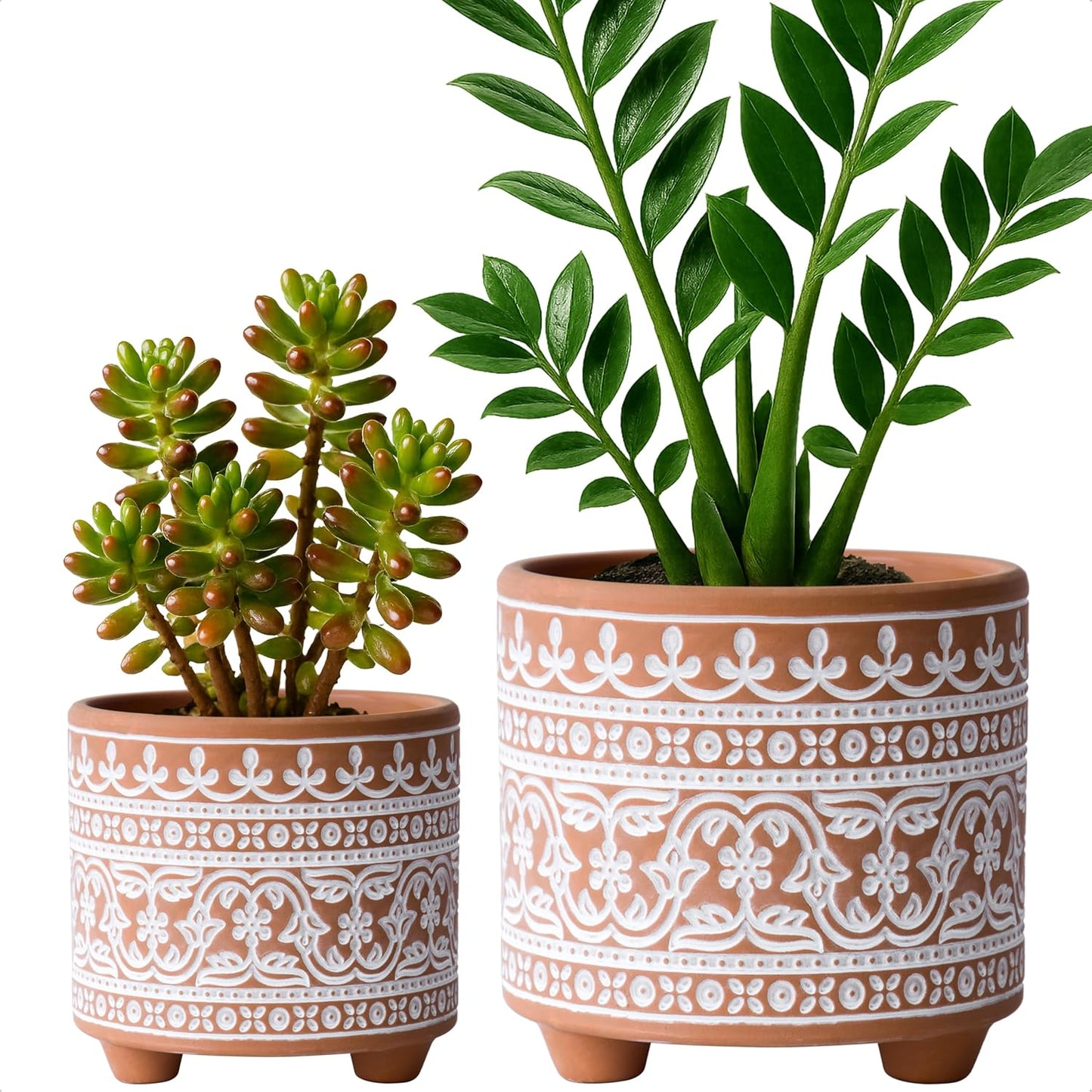 D'Vine Dev Set of 2 Terracotta Planter Pots, 4 Inch & 6 Inch, Design Plants Pot with Drainage Hole, Midnight Lace, Terracotta/Black, 31-953-F-2