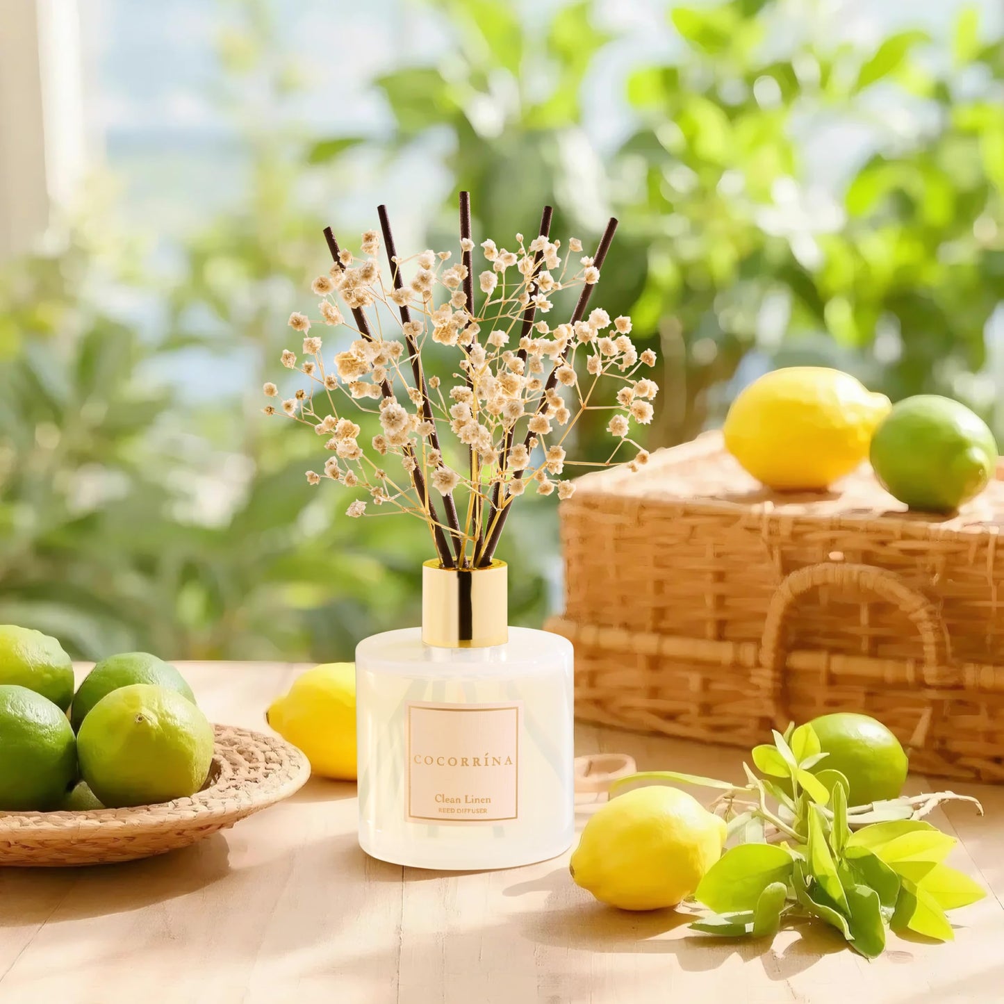 Cocorrína Reed Diffuser Set