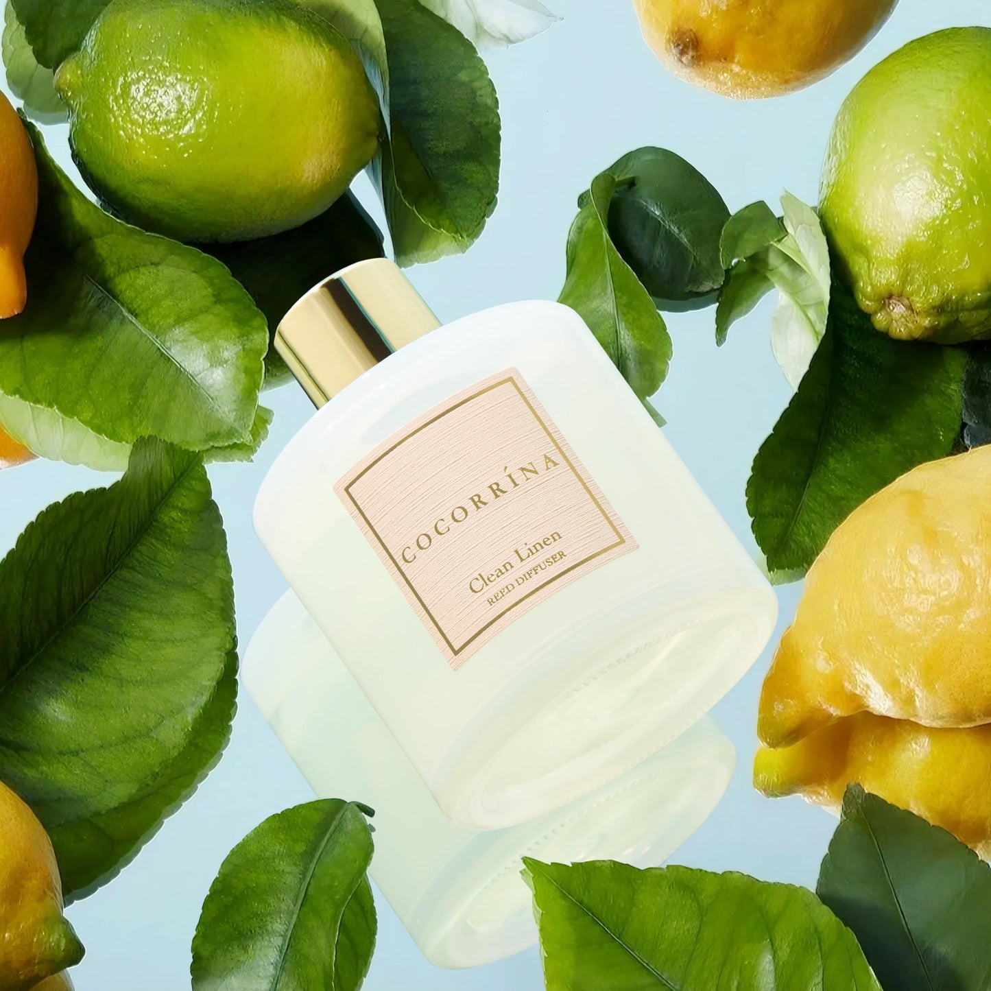Cocorrína Reed Diffuser Set