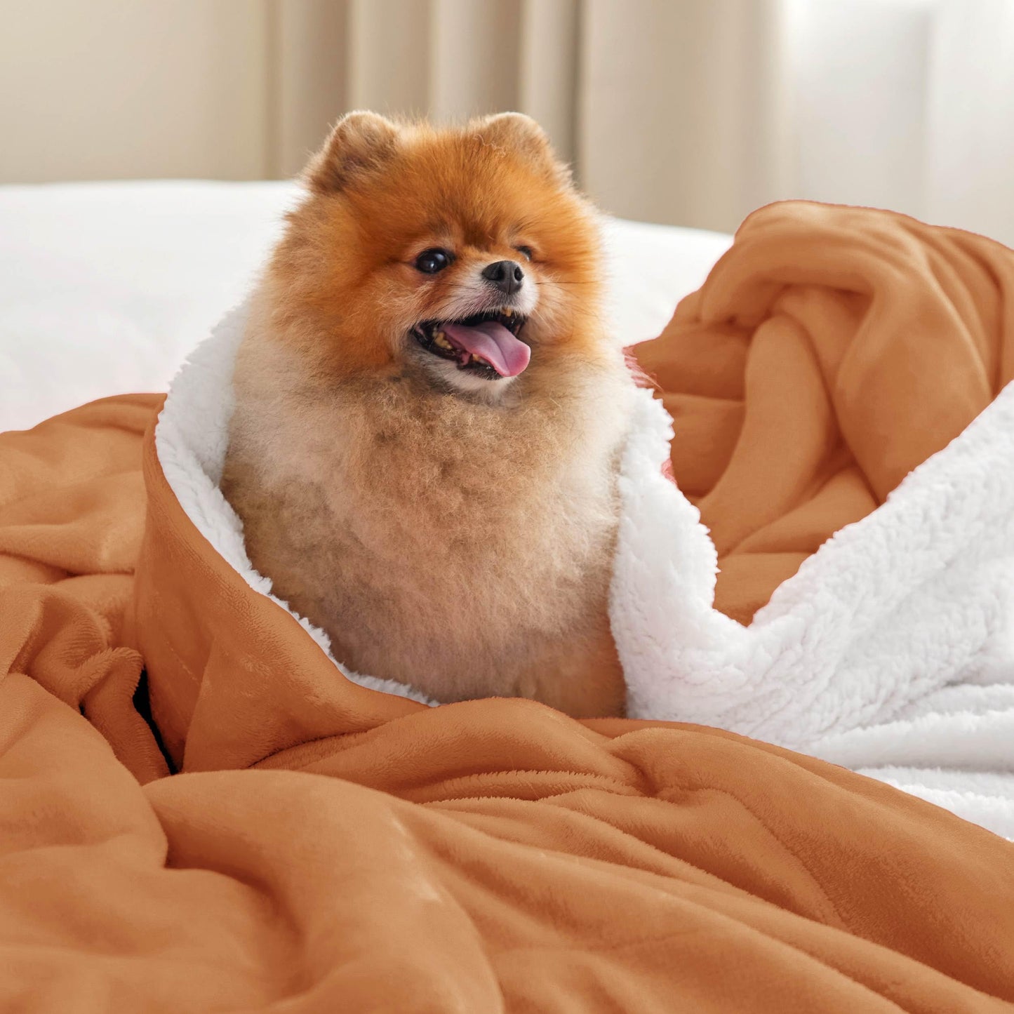 GentleSoft Throw Blanket