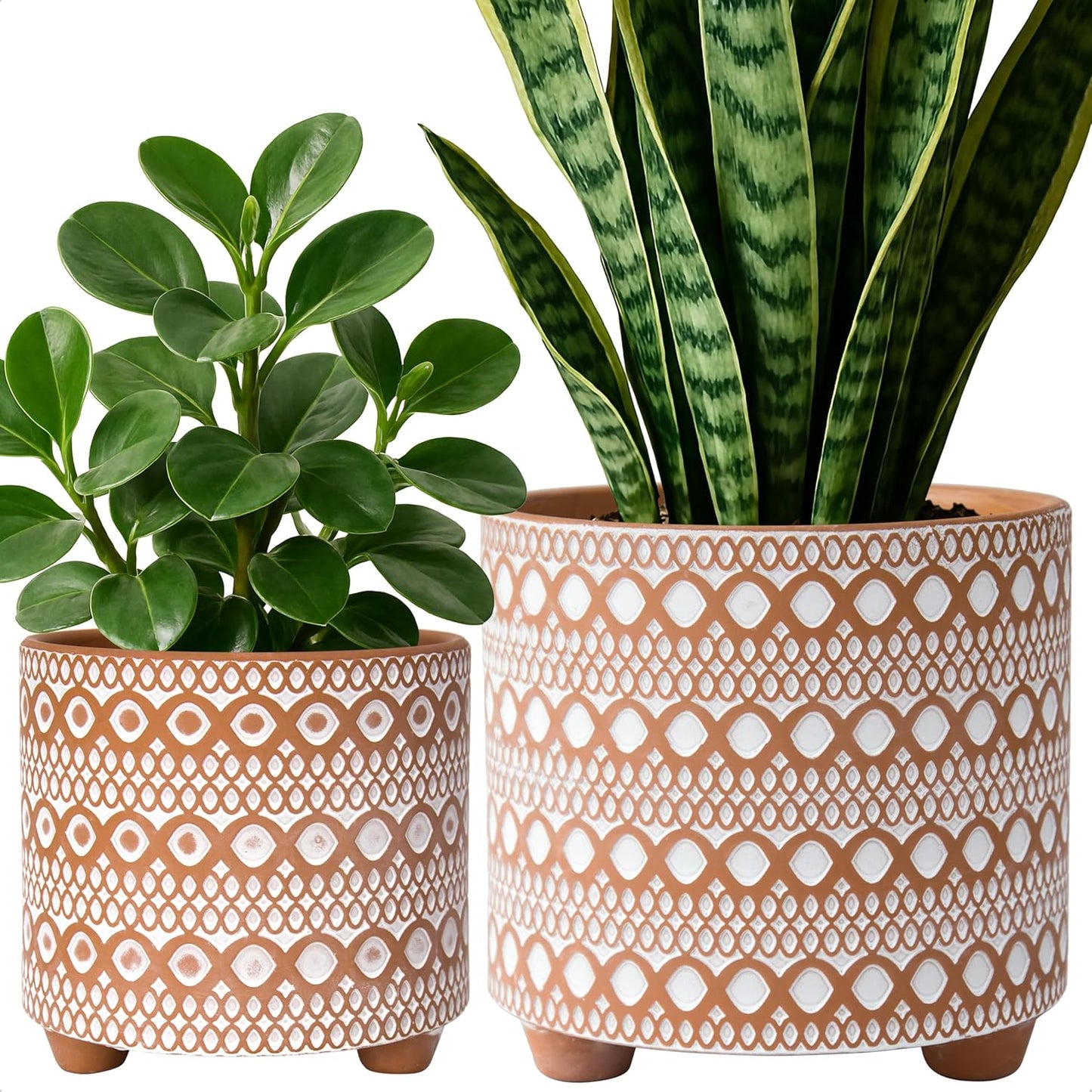 D'Vine Dev Set of 2 Terracotta Planter Pots, 4 Inch & 6 Inch, Design Plants Pot with Drainage Hole, Midnight Lace, Terracotta/Black, 31-953-F-2