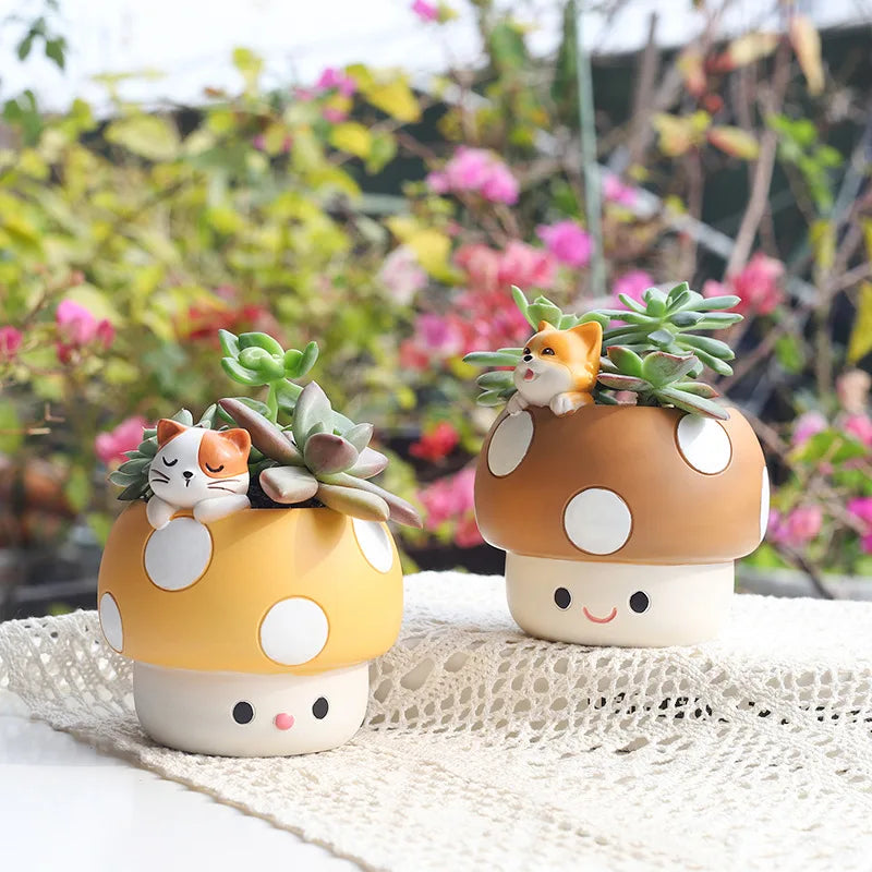 Mushroom Succulents Plant Pots