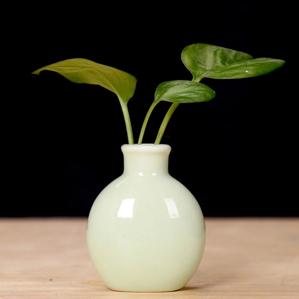 Cute Mini Flower Vase Pot