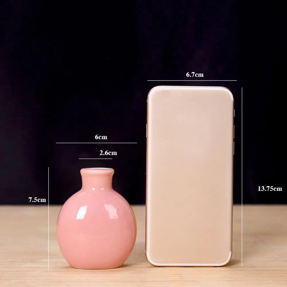 Cute Mini Flower Vase Pot