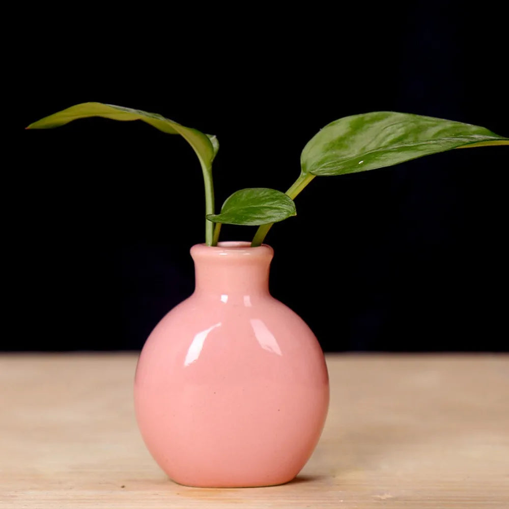 Cute Mini Flower Vase Pot
