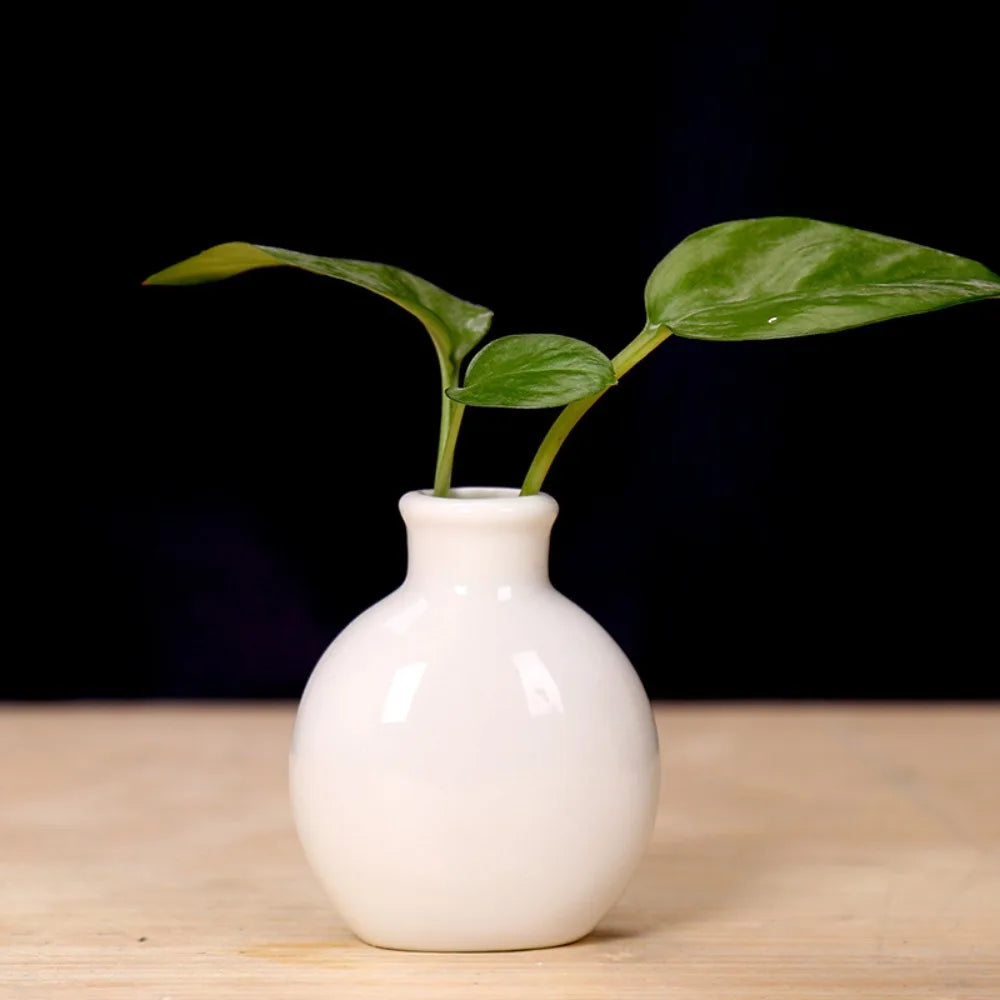 Cute Mini Flower Vase Pot