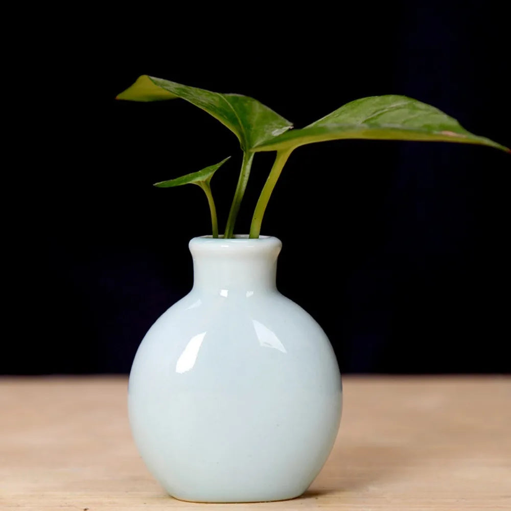 Cute Mini Flower Vase Pot