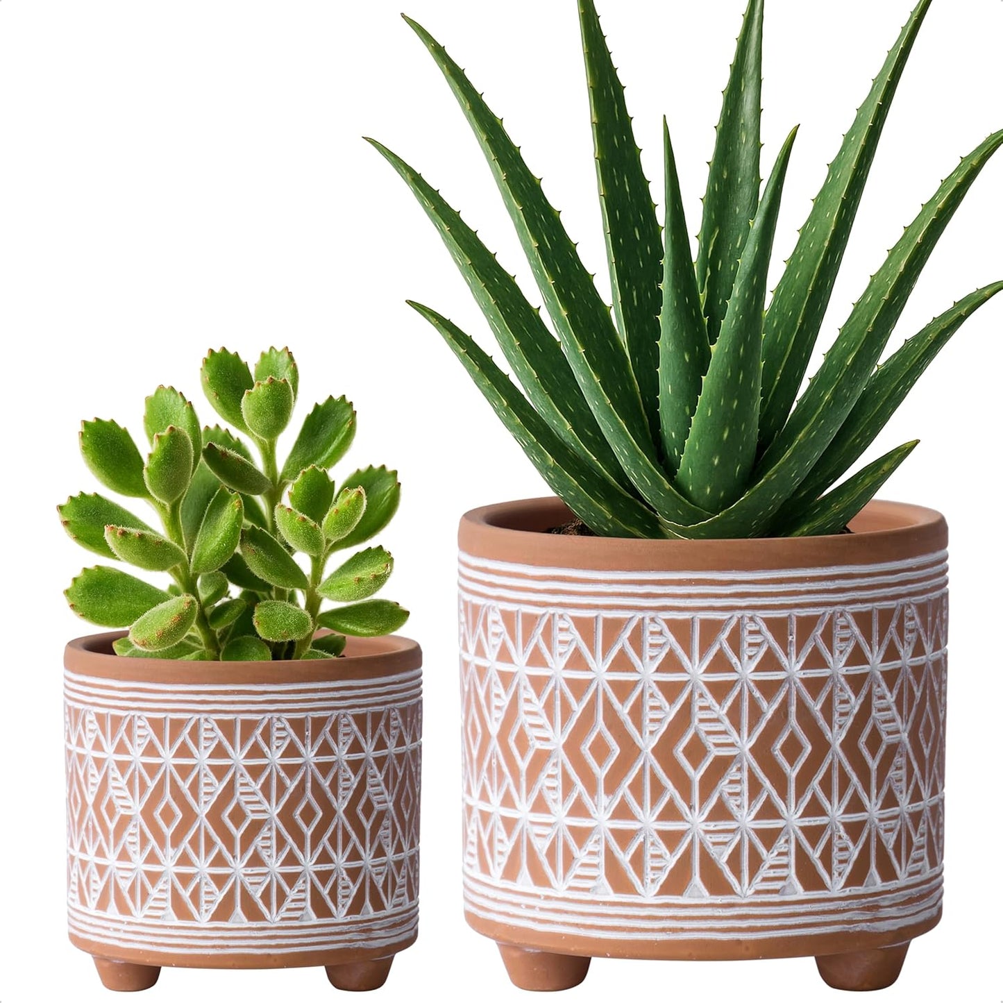D'Vine Dev Set of 2 Terracotta Planter Pots, 4 Inch & 6 Inch, Design Plants Pot with Drainage Hole, Midnight Lace, Terracotta/Black, 31-953-F-2