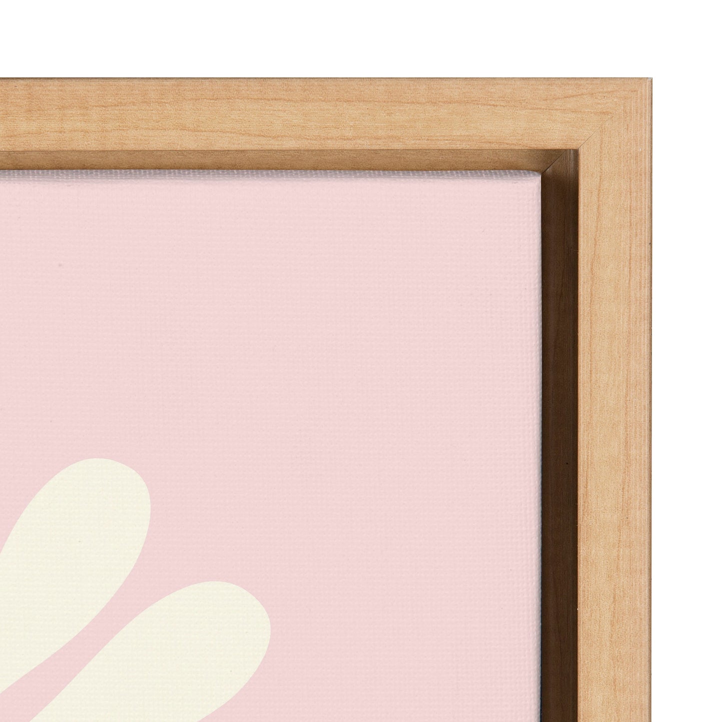 Groovy Daisy Framed Canvas