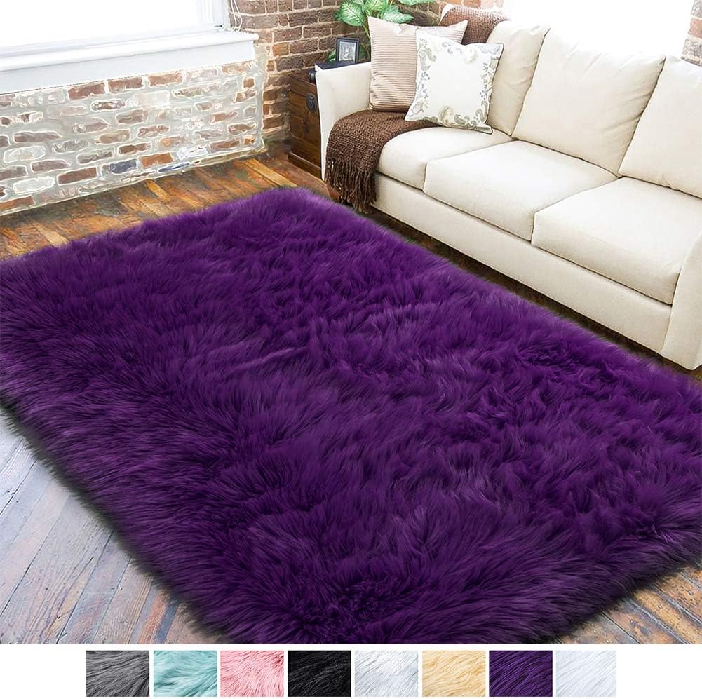 Thick Plush Carpet