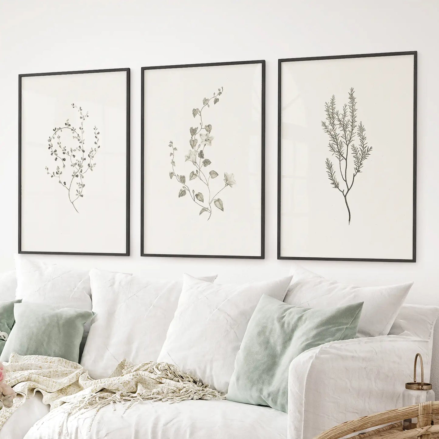 Vintage Dried Flower Wall Art. Set of 3 Rustic Botanical Prints