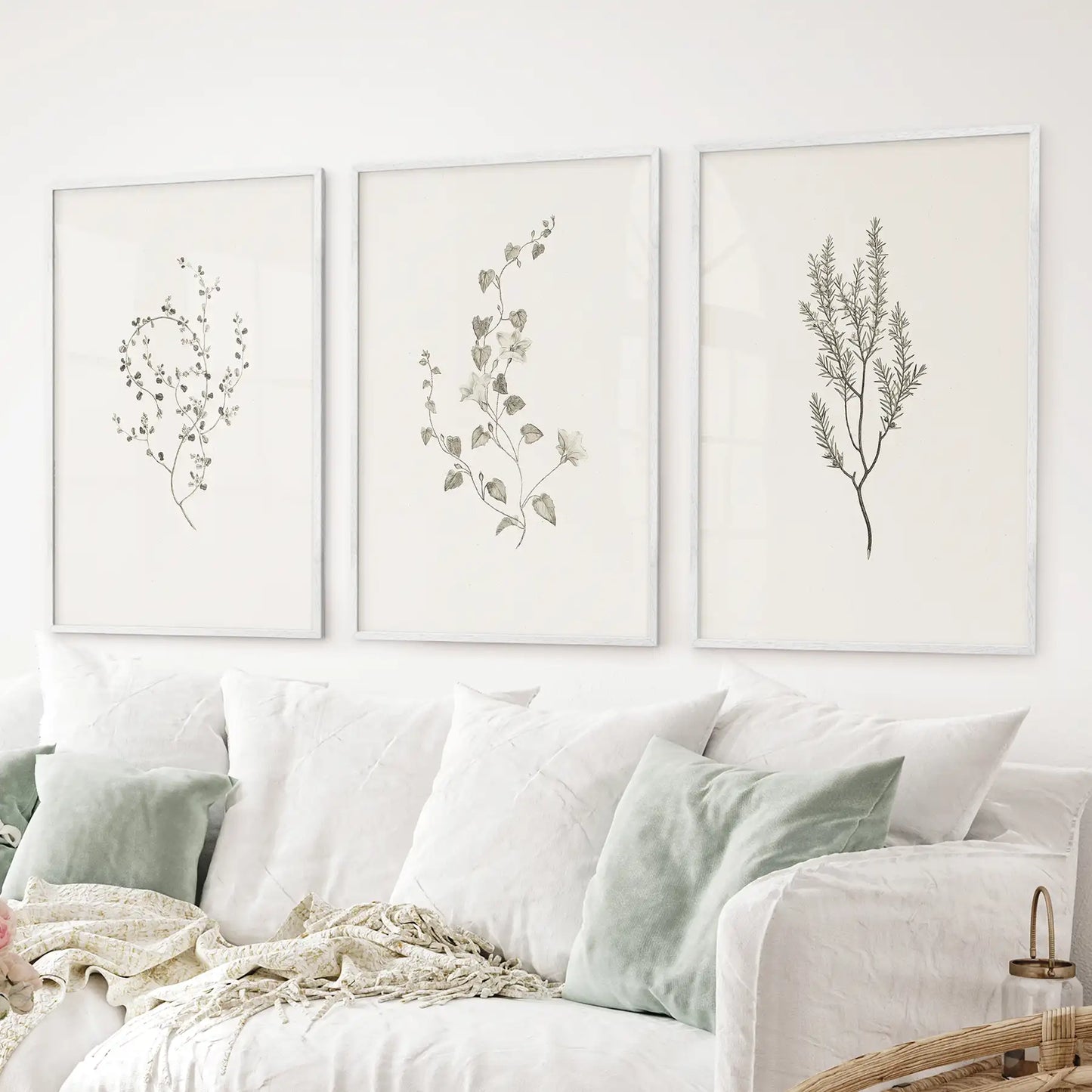 Vintage Dried Flower Wall Art. Set of 3 Rustic Botanical Prints