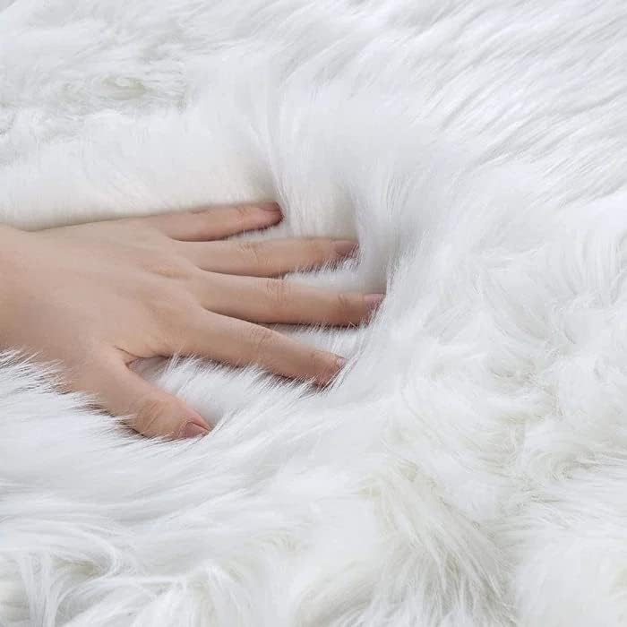 Thick Plush Carpet